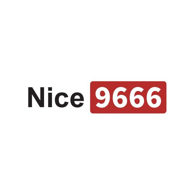 nice9666.guo
