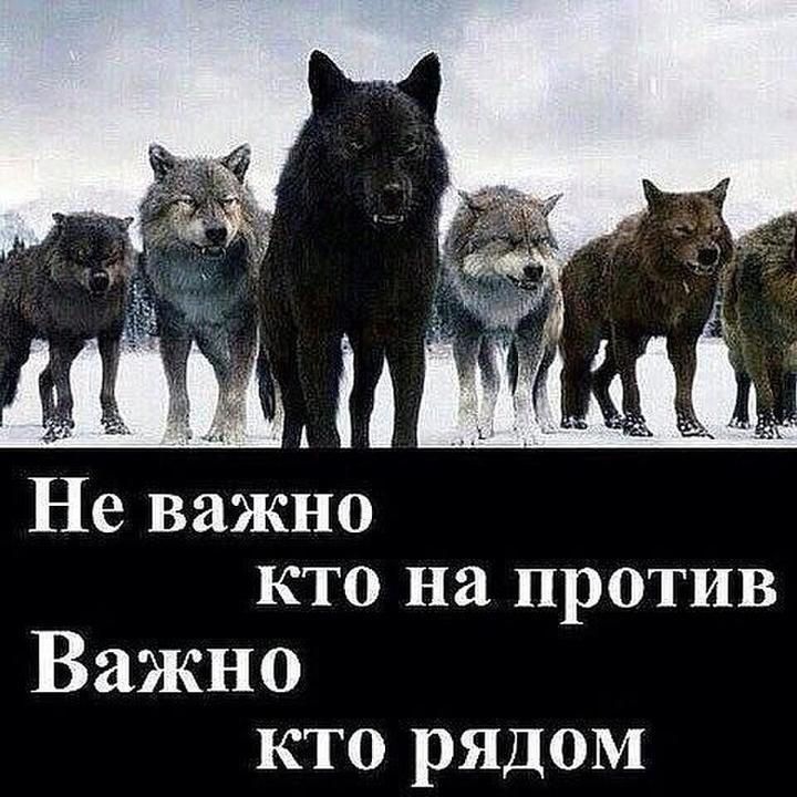 @urus77777