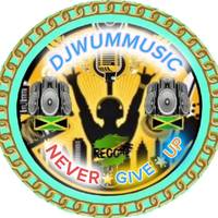TikTok Account - djwummusic1