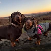 albieandnova