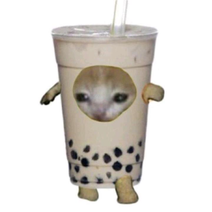 uomokekka