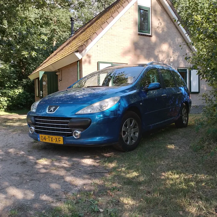 thatonepeugeot307sw