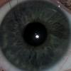 derixey_