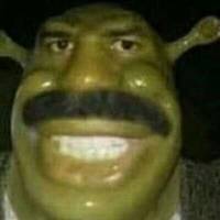 shrekst0enailclippings