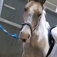 persanberoende