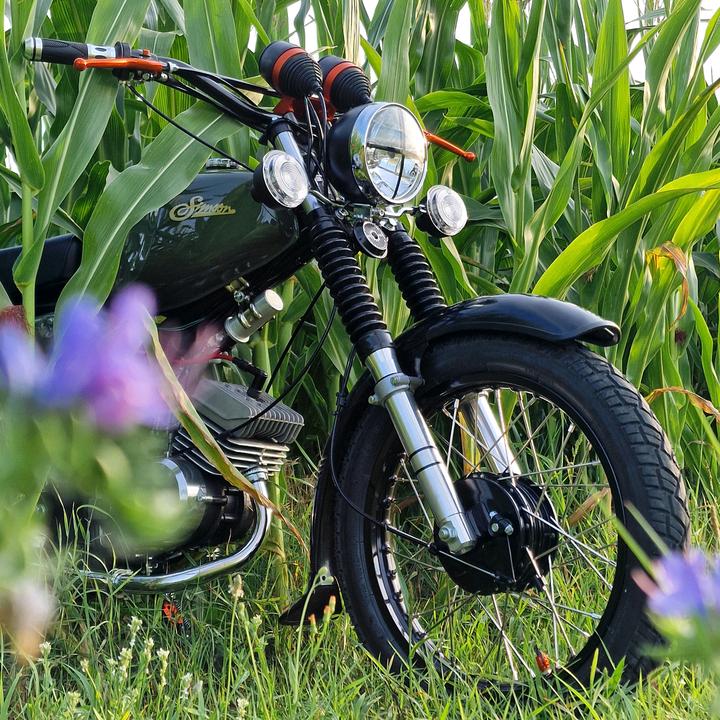 89er..oli..s51