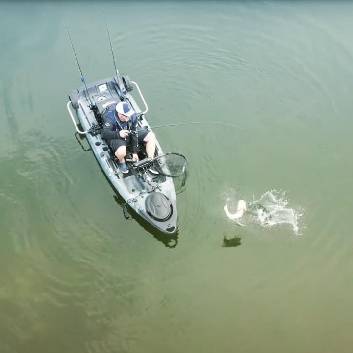 Jurassic Perch Fishing - suara asli