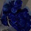 ir6m7