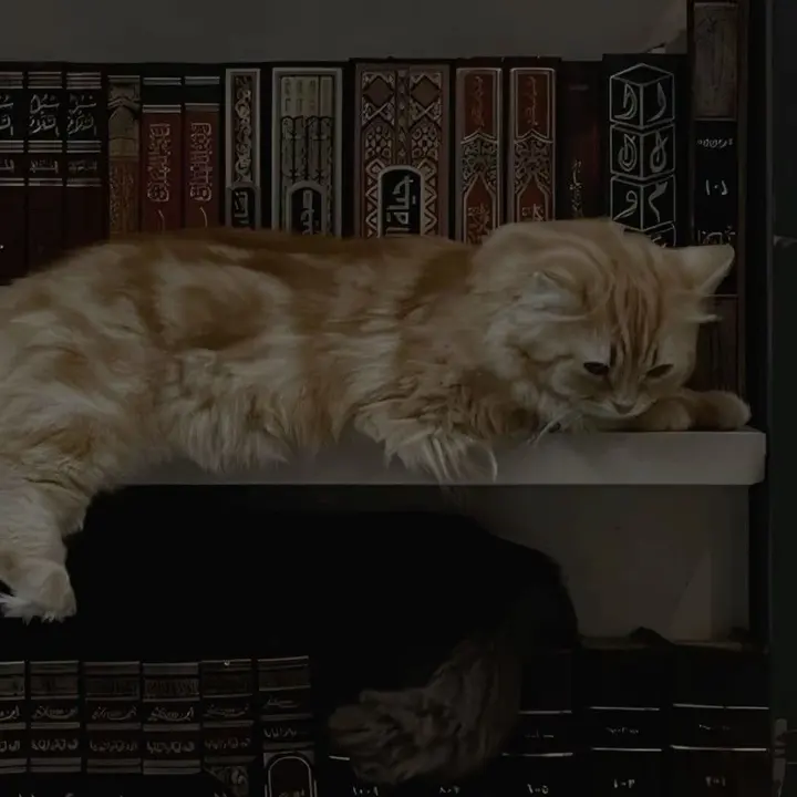 ﷽ - suara asli