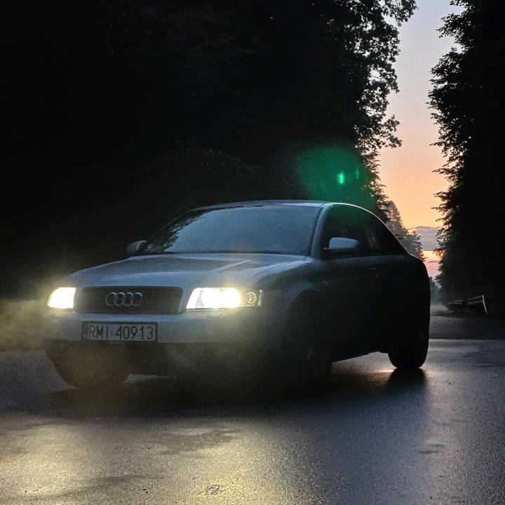kacperlysik19