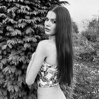 cimpucami