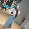 s_iancu03