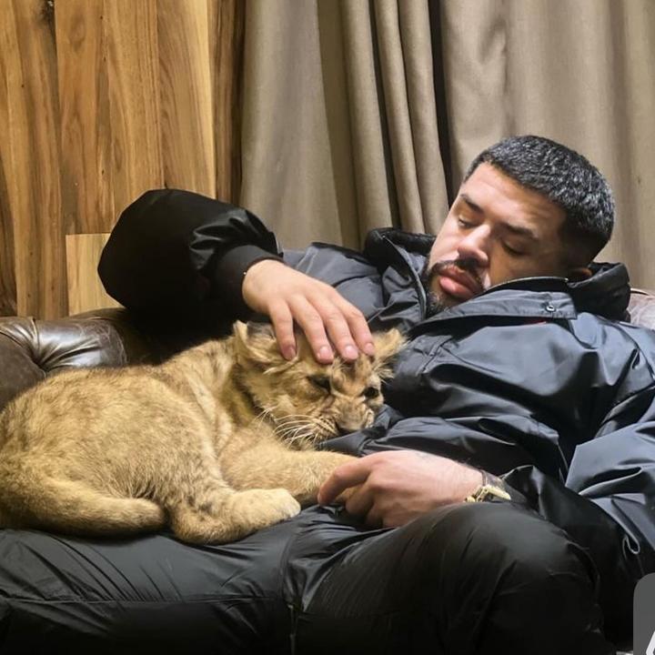 🦥 - suara asli