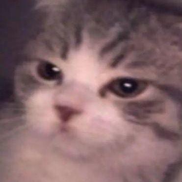 🕊️ 𝒩 𝒜 𝒲 𝒜 𝐵 🕊️ - suara asli