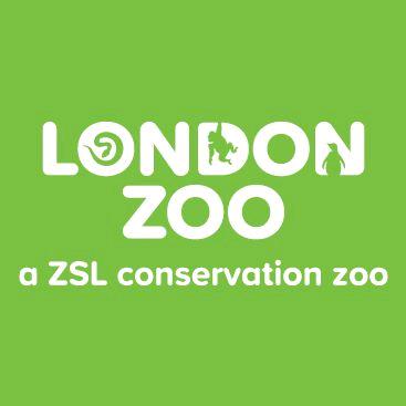 🦄 @londonzooofficial - London Zoo - TikTok