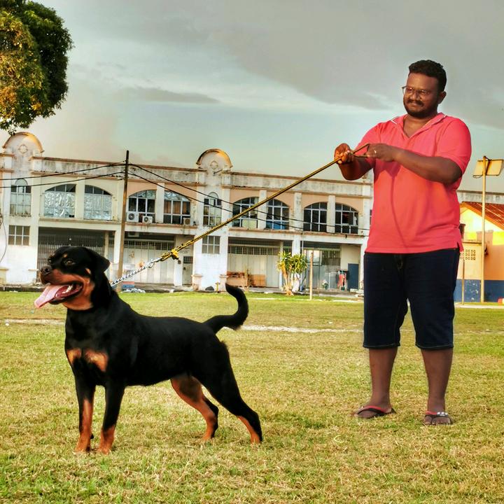 Deva - suara asli