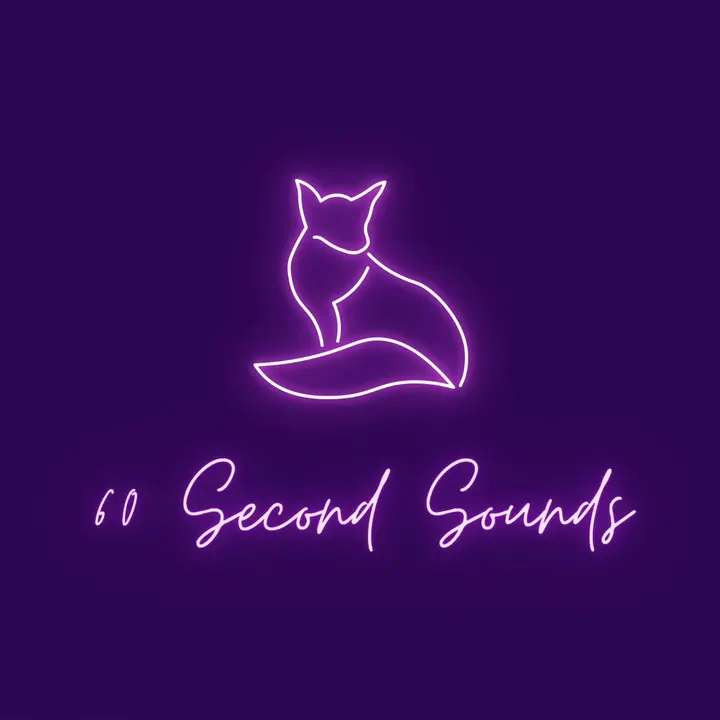 60 Second Sounds🦋 - Light switch