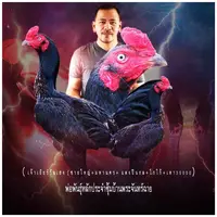 aofstar9