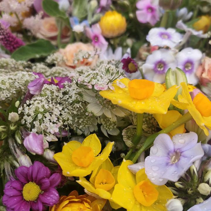 thegardenshedflorist
