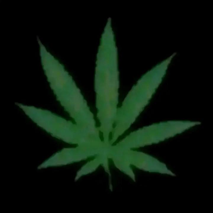 vxhsk8