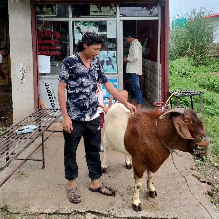 jivanbhandari2