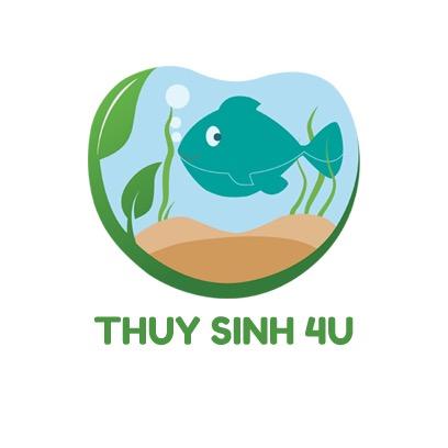 @thuysinh4u - Thuy Sinh 4U