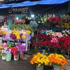 melatiflorist_jogja