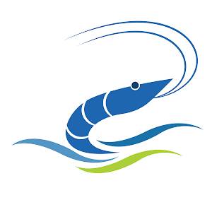 PalayaShrimpFarm🦐 - original sound - palayashrimpfarm