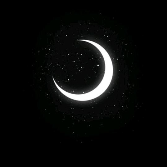 𝙷 𝚊 𝚊 𝚔 𝚞 - suara asli