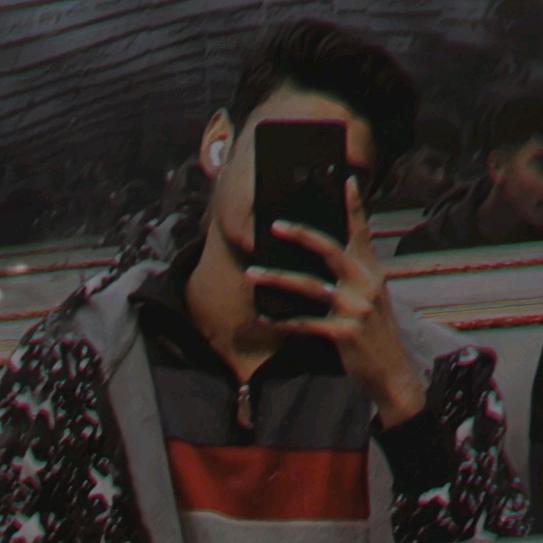 ansirmobeen