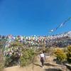 urwashithakuri1