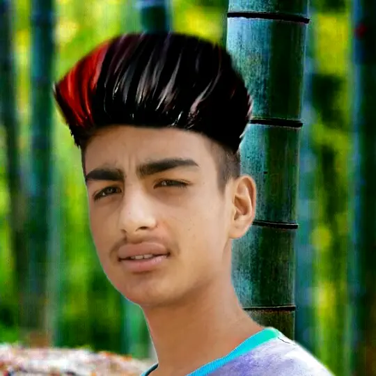 Niraz bhat - original sound - niraz_bhat41