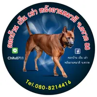 chifu0711