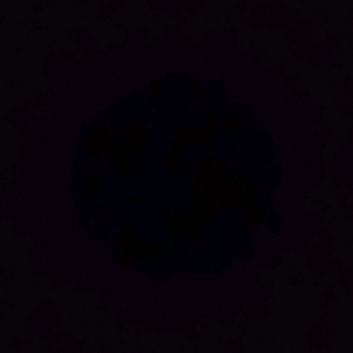 Sound image