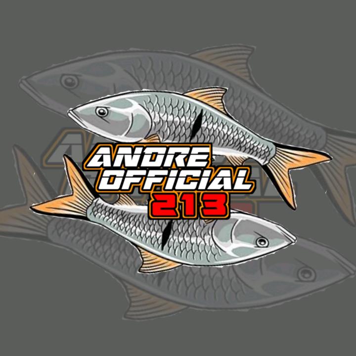 andreofficial213