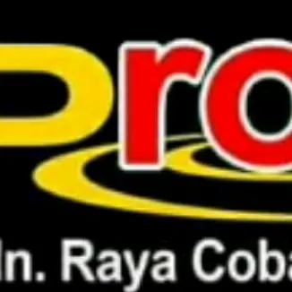 promultimedia