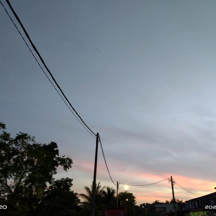 . - suara asli