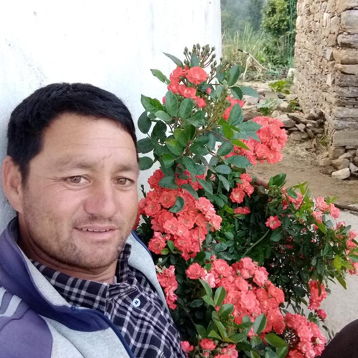 @sarjanshahi04